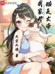 我家的猫咪是女孩真可爱