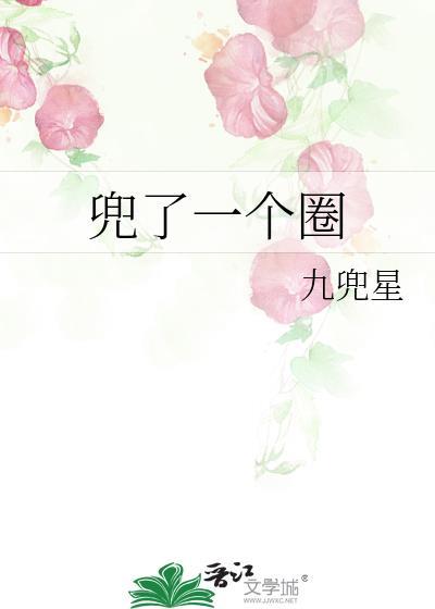 兜了一个圈实体书有几本