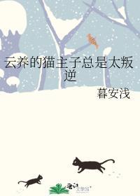 云养猫的优势