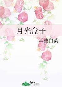 月光盒子作者半截白菜