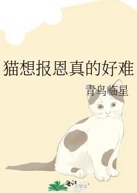 猫想报恩真的好难表情包