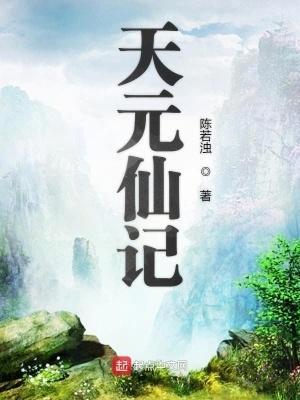 天元仙记评价