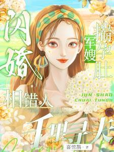 军婚闪孕一胎三宝全文免费阅读叶佳