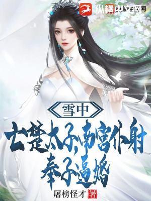 雪中悍刀行南宫仆射章节
