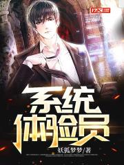 体验体系