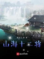 山海十二炁