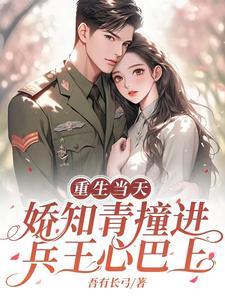 重生当天娇知青撞进兵王心巴上免费阅读