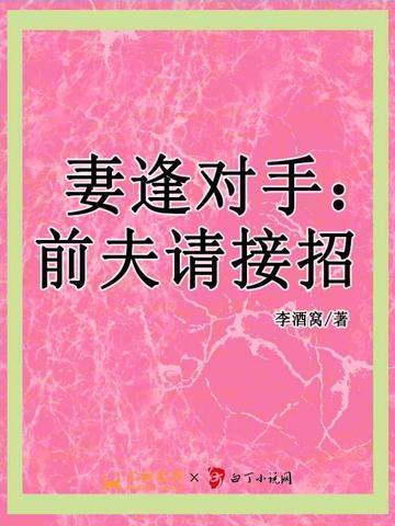 妻逢对手txt