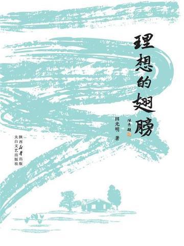 理想的翅膀作者是谁写的