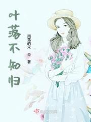落叶不知归根处下一句