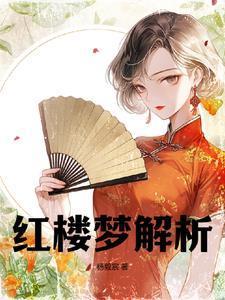 红楼梦解析版本