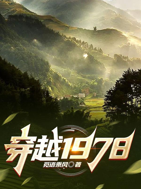 穿越1978林无忌动画