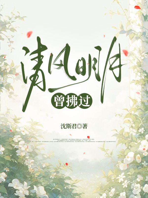 清风明月后面是什么