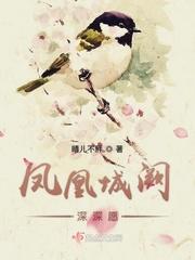 凤凰城阙知何处