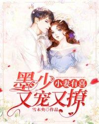 墨少宠妻全文免费阅读无弹窗
