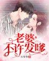老婆不许发嗲完结了吗