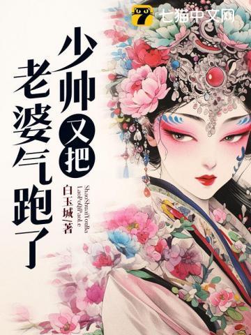 少帅的老婆又跑了漫画