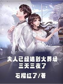 夫人都已经烧了三天了
