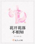 宗先生的追妻记
