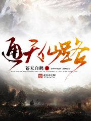 通天仙路苍天白鹤TXT
