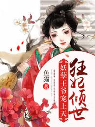 妖孽王爷倾城妃免费阅读