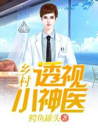 乡村透视小神医铁阳阅读全文