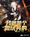 我是玩具作文