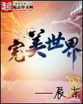 完美世界莫道结局