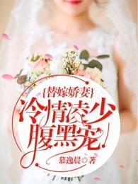 替嫁娇妻冷情凌少腹黑宠安离琪
