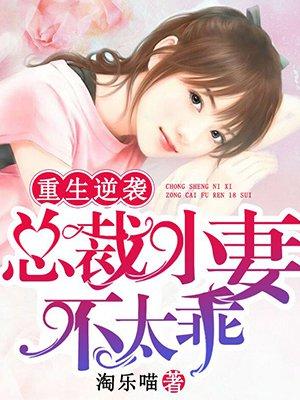 总裁重生小咖妻