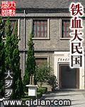 铁血大民国免费