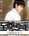 至尊逍遥神校对版