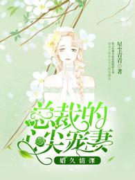 婚久情深总裁放手吧
