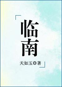 临南TXT