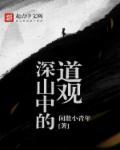 深山中的道观TXT百度