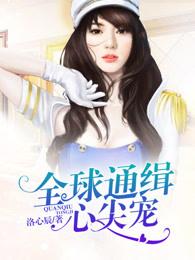 全球通缉心尖宠免费全文