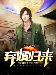 一世豪婿大结局叶凡踏入神境了吗