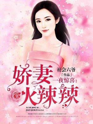 一夜惊喜娇妻火辣辣免费阅读
