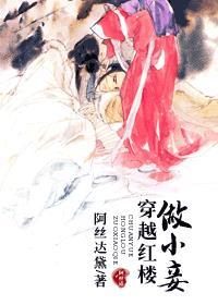 穿越红楼全本