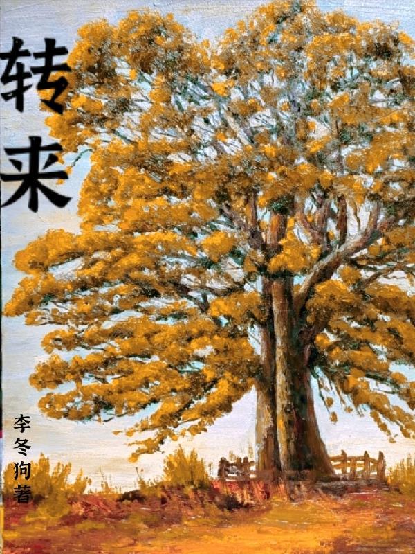 转来读音
