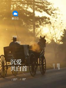 职路风云林清霄