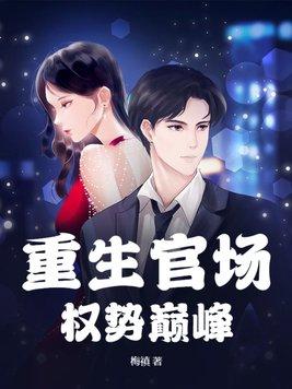 重生官场权势巅峰苏星辉