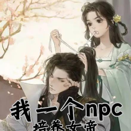 我是一个npc
