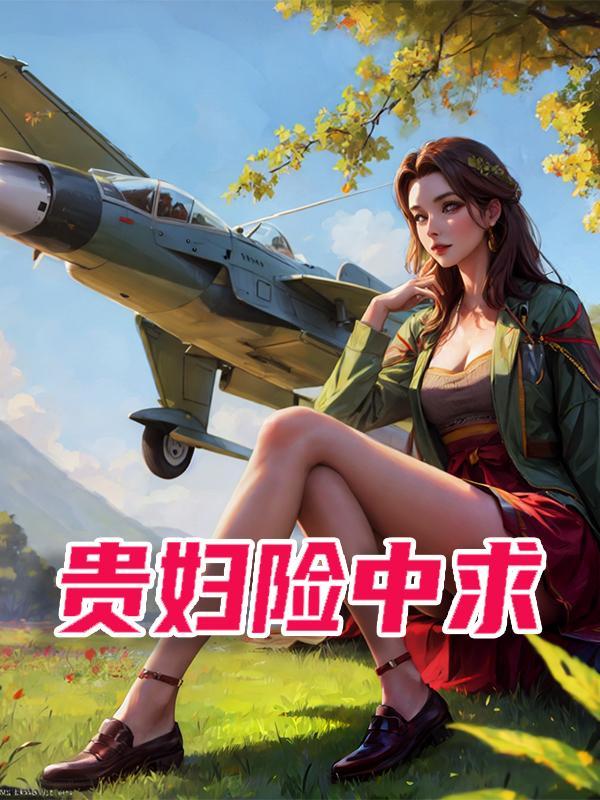 贵妇险中求字体