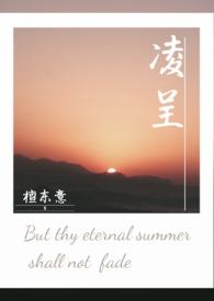 凌呈by檀东意写的什么