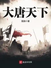 大唐的天下