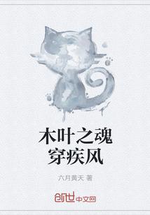 木叶之魂穿疾风免费阅读