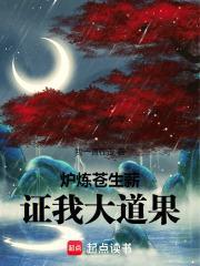 证我大道果无防盗