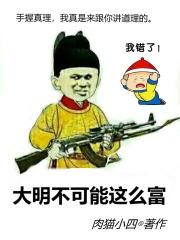 大明不可能这么富精校版
