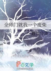 全师门就我一个废柴夜无尘